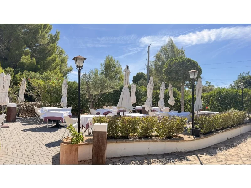 Restaurant in Montgó – foto 5