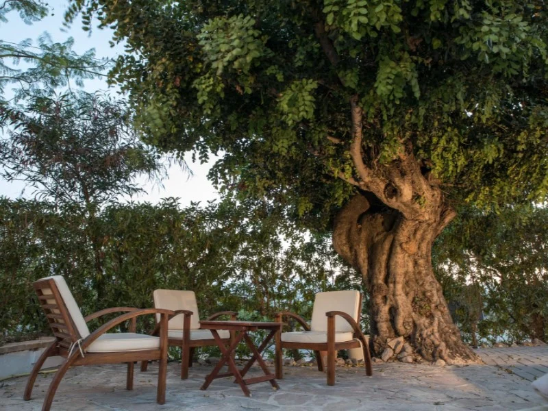 Restaurant in Montgó – foto 47